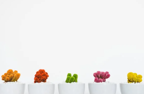 GEO 与 SEO：AI 时代，不是“接班”而是“并行”